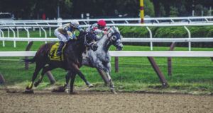 horse racing
